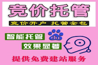信息流代理的运作模式与成功案例分析